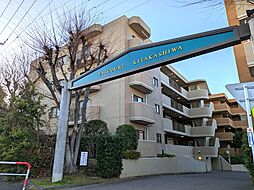 エステ・コート北柏弐番館　307号室 307