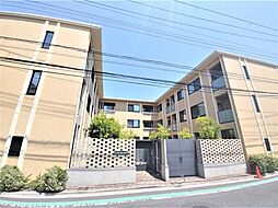 葛飾区小菅4丁目