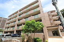 サラフィード 303