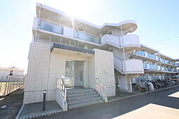 ウッディベル 203