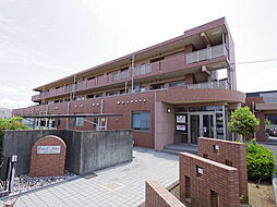 エクセルシオール 206