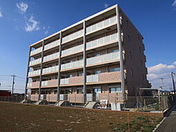 ピュア　シャイン 505