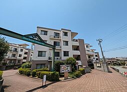 佐倉市井野