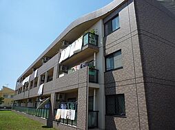八千代市八千代台南3丁目