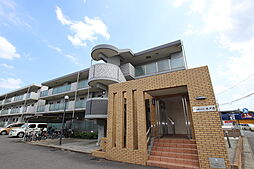ジンベール・木戸前 302
