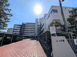 コープ行徳 511