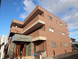 アムールトミー 203