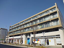 ＣＡＳＡ　Ａｌｐｉｎｅ 313