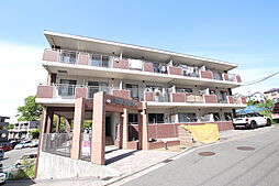 エバーライフ東戸塚 203