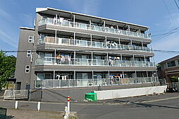 ＣＥＮＴＲＡＬＢＬＵＥＷＯＯＤ 403