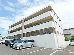 セレッソ　Ｉ 303