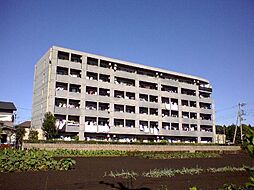 大和市深見東3丁目