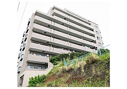 ルピナス四季の森公園