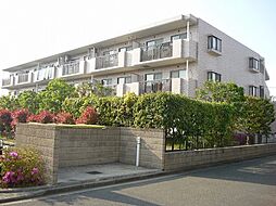 ＥＸＥＤＲＡ湘南 303