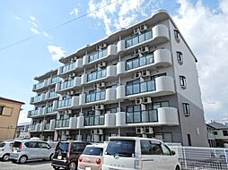 エクセルコートＴ・Ｎ 406