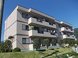 パラシオン・Ｍ 101