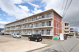 パルムツマダ 307