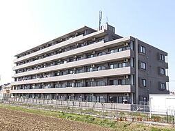 アバーロ 503