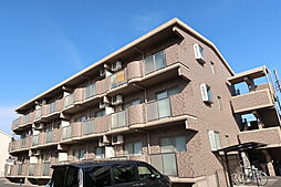 ハックベリー 101