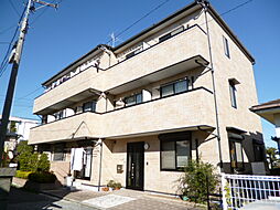 セレプログレス 201