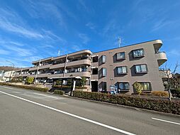 カサブランカスクエアＢ 207