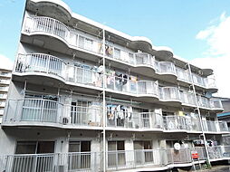 シャンロック大矢 301