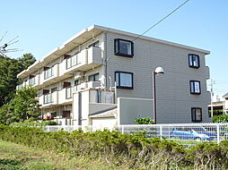 パティオつきみ野 302