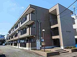 コートヒルズ 201