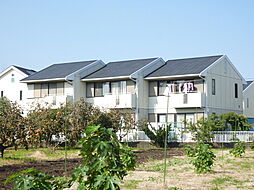 ライフタウンつきみ野Ｃ 101