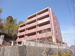 プリマヴェーラ 202