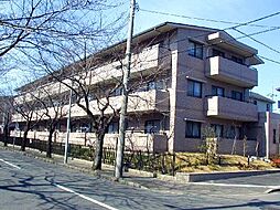 ハイプラザ桜並木Ｂ 303