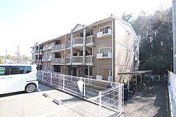 ドエル王禅寺 203