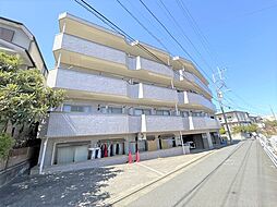 パインフラッツII 303