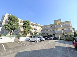 ヒルサイドパレス新百合 101