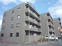 エスプレンドール 203