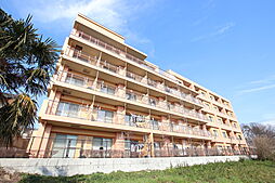 レスペディーザ柳崎 209