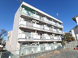 ゼルコバ611 405