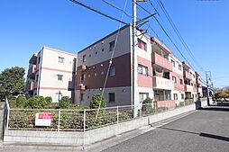 ラピステスタ 207