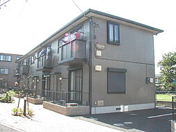 プリムローズB 103