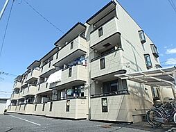 ヴァンベール小島 307