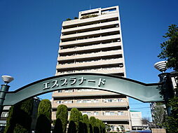 エスプラナード 1001