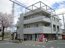 エステート雅 203