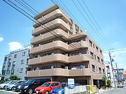 フォンティーヌ東大宮 702