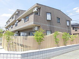 ベルファストＴＫ 305