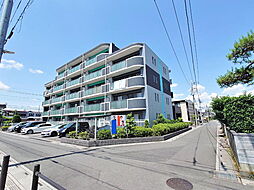 アクア　フェルメール 206