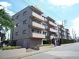 ドリーム大宮盆栽町 403