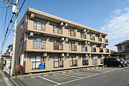 スプリングサニー 106