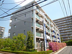 シャリテａｇ 503