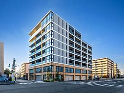 ＰＪ ＴＲＥＥ ＮＥＳＴ 704