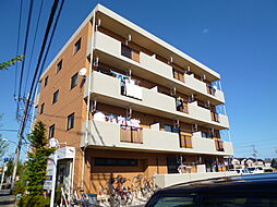 ロンサール・ＵＳ 301